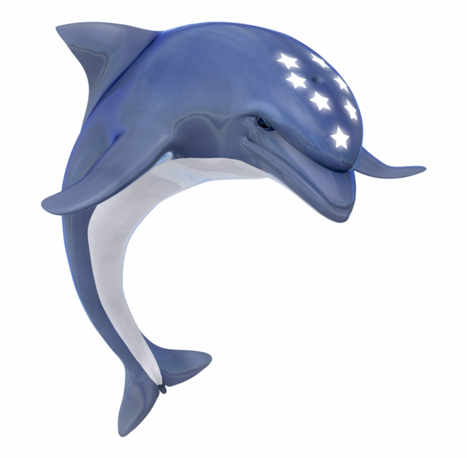 Ecco The Dolphin Png