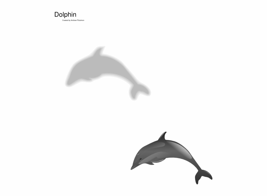 Small Common Bottlenose Dolphin