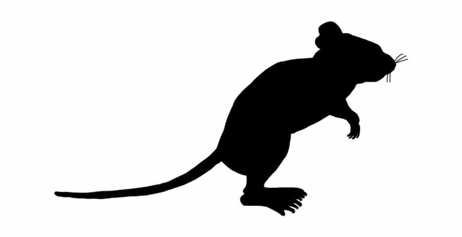 Little Mouse Sniffing Around Standing Mouse Silhouette Mouse