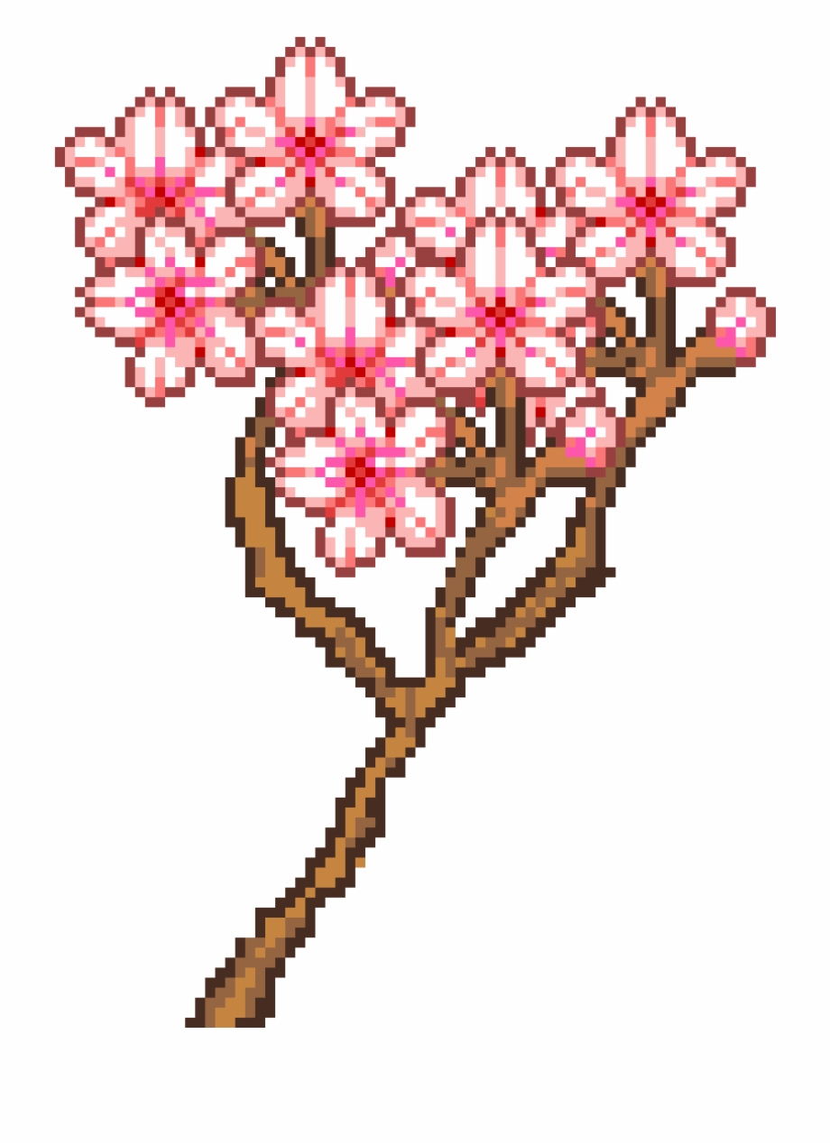Cherry Blossom Tree Rosa Glauca