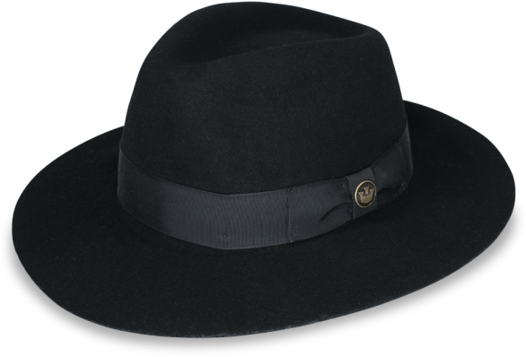 Beret Hat Target Wide Brim Fedora