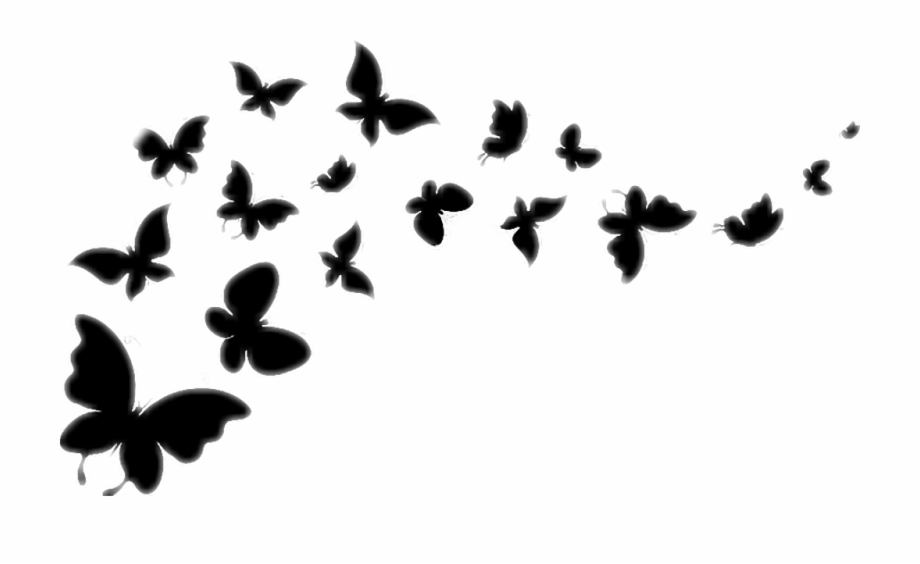 Butterfly Silhouette Blackandwhite Flying Butterflies Flying Butterfly Black