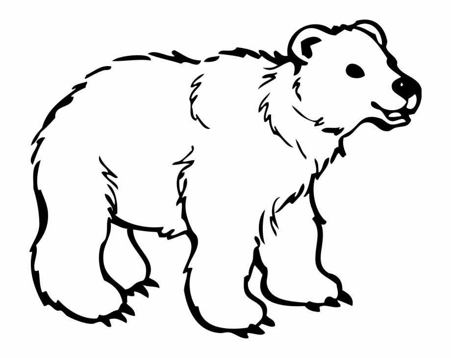 Jungle Animal Coloring Pages Black And White Polar