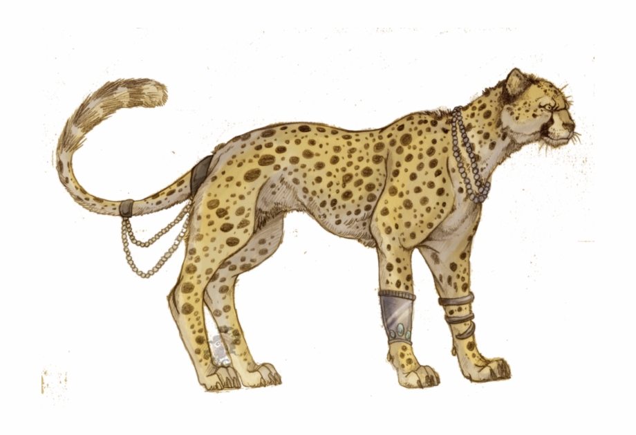 Leopard Print Png Transparent Leopard Print - Anime Cheetah - Free  Transparent PNG Download - PNGkey