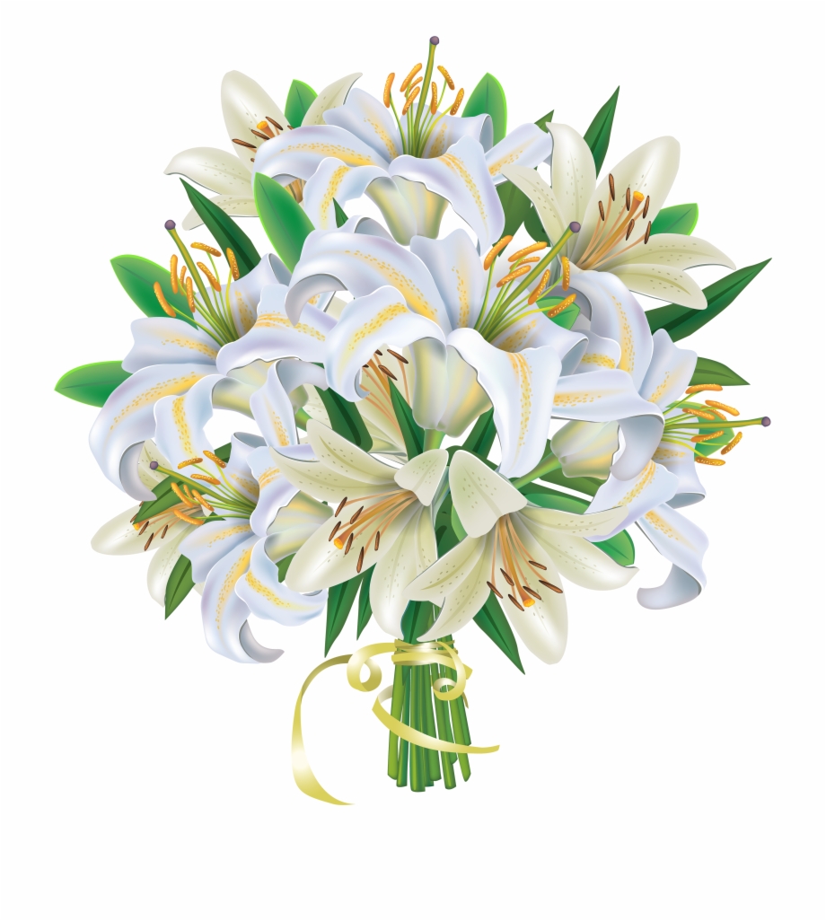 Banner Free Stock Lilies Flowers Png Clipart Image