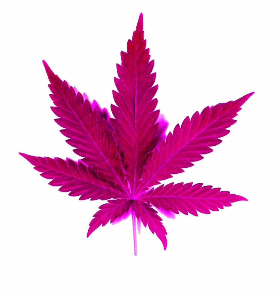 Marijuana Clipart Transparent Weed Png