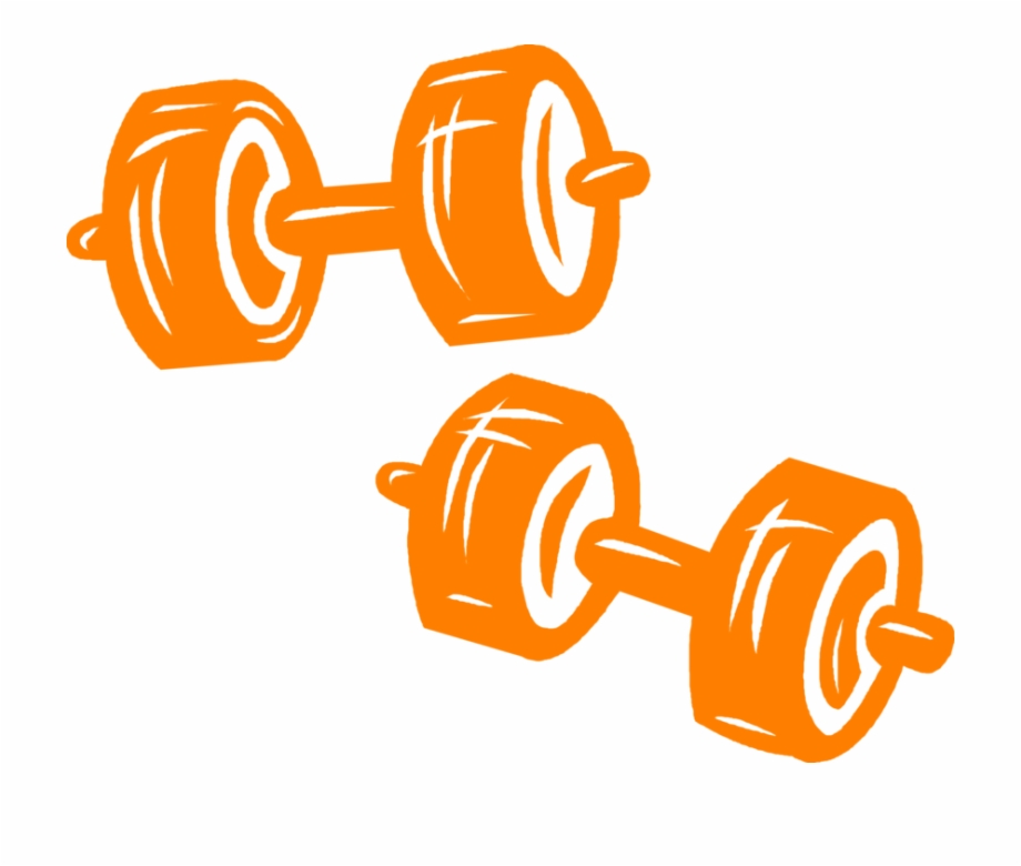 Bodybuilding Weights And Image Illustration Of Weightlifting Dumbbell