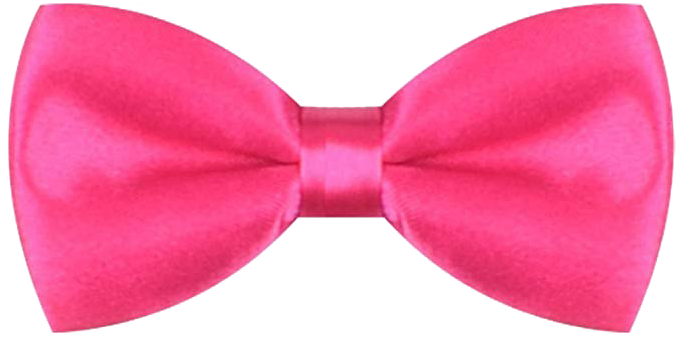 Pink Bow Transparent Background Satin