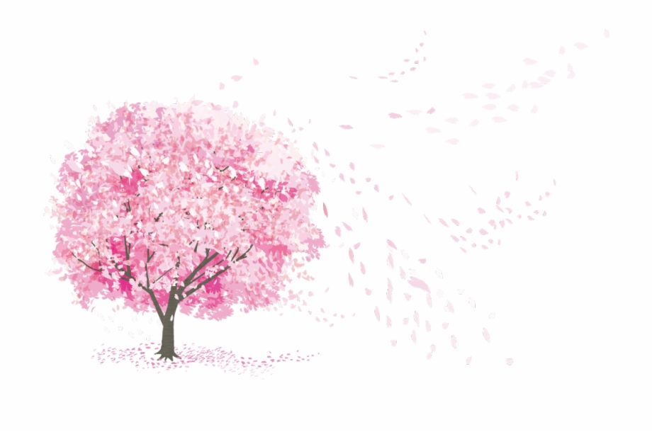 a beautiful desktop wallpaper featuring a serene grove of cherry blossom  trees with delicate petals falling gently in the breeze --ar 16:9