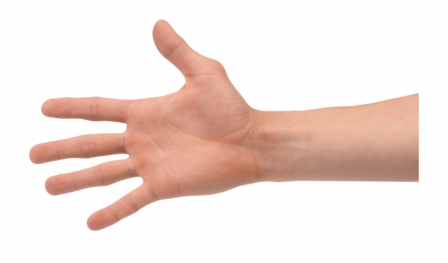 Four Finger Hand Transparent Hand Png