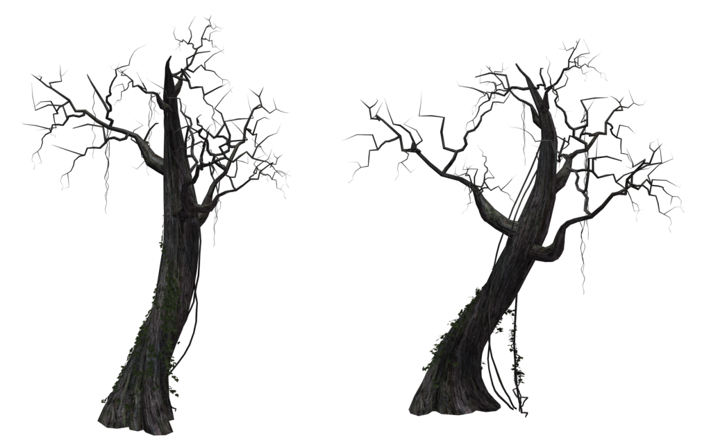Dead Trees Png
