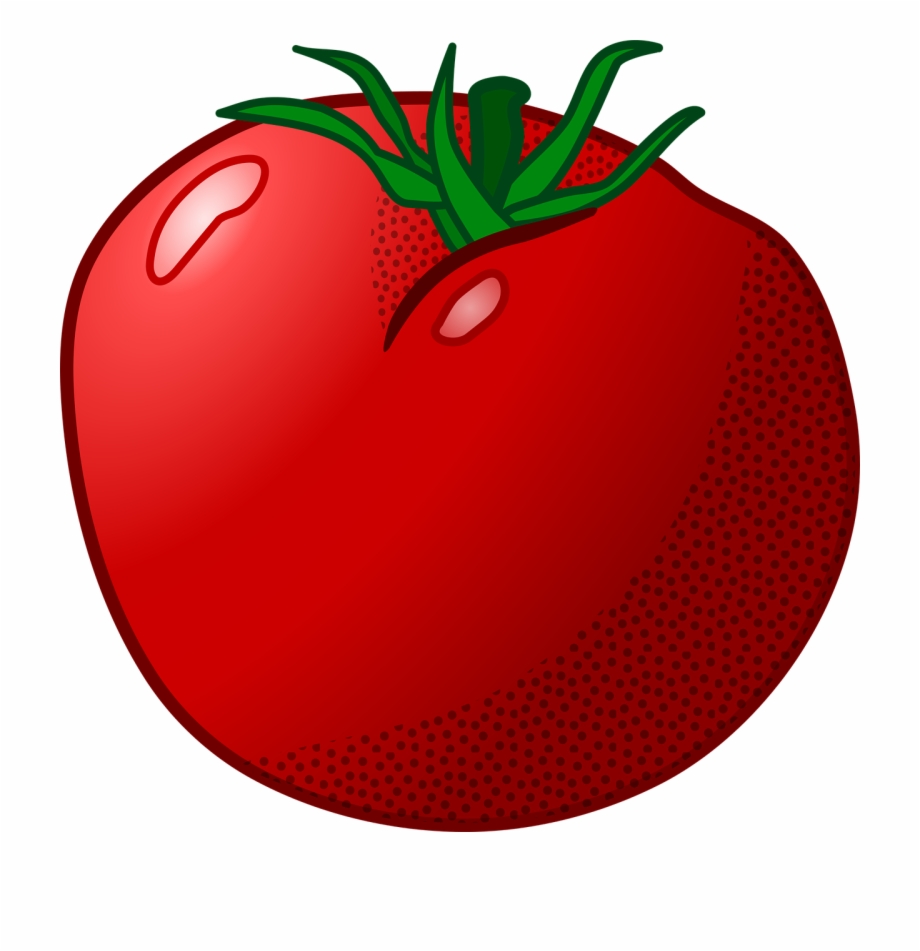 Plant Tomato Vegetable Png Image Favicon Tomate