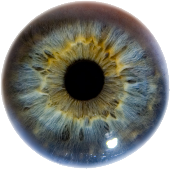 Eye Google Search Semmi Iris Eye