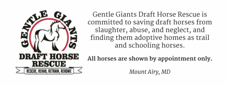 Gentle Giants Draft Horse Rescue Is Committed To