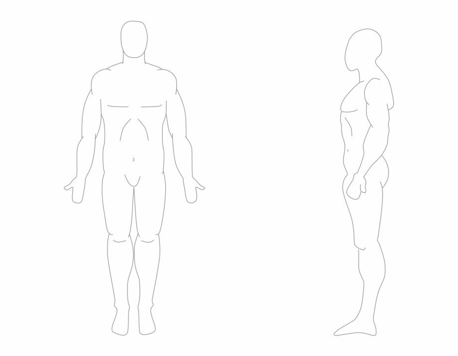 Human Body Front And Side Human Body From