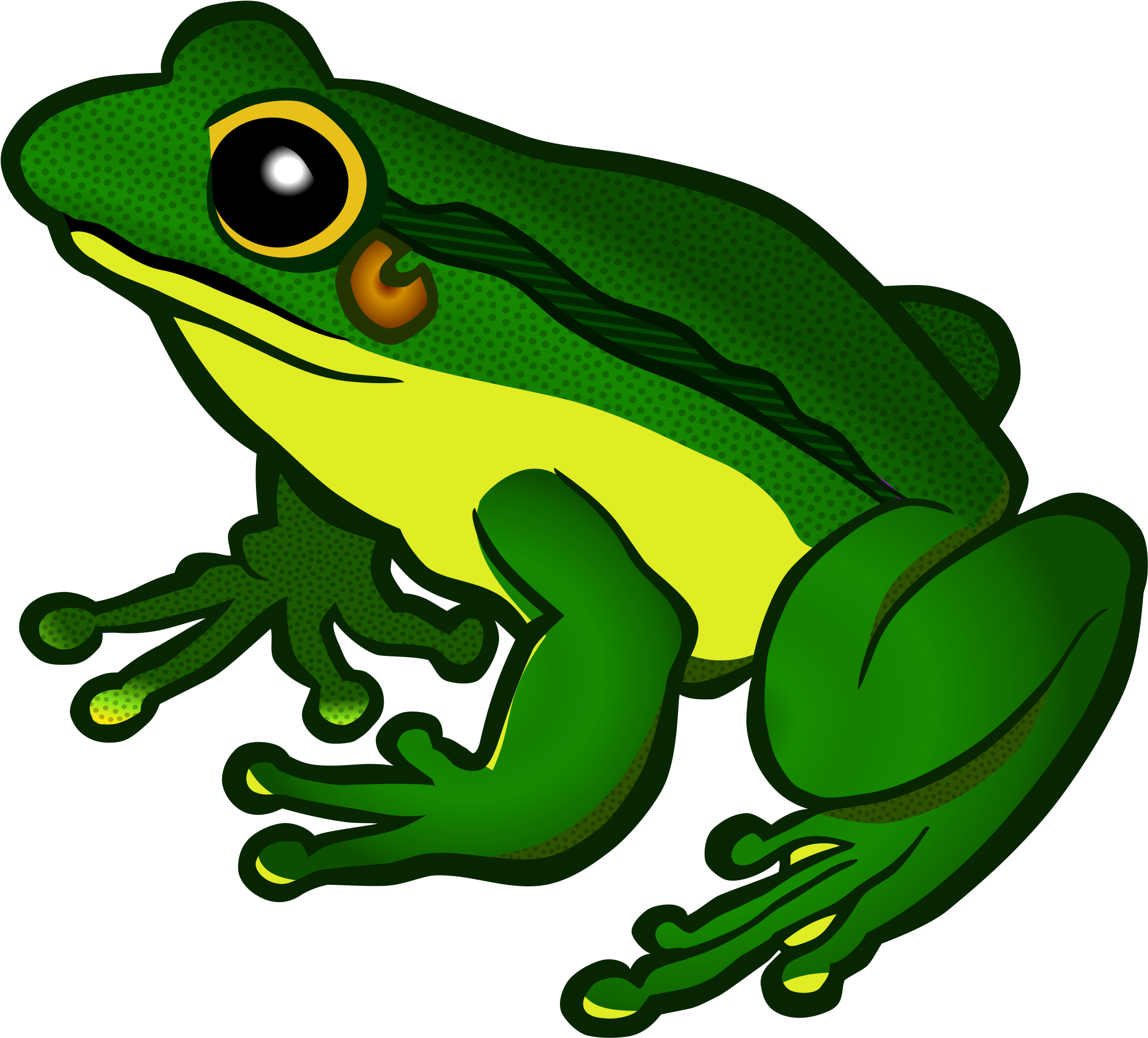 Frog Png Images Transparent Free Download Clipart Frog