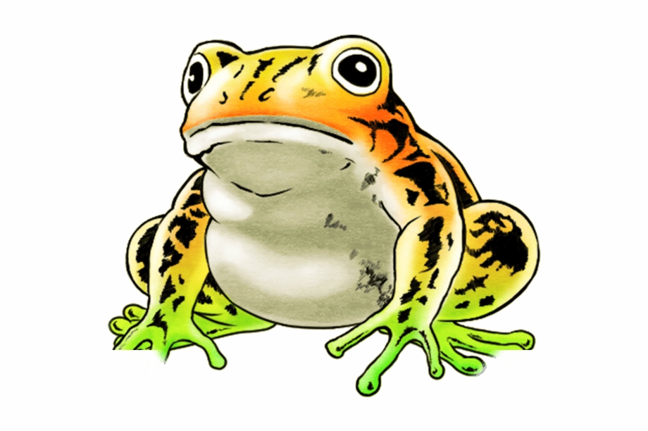 Unit Frog Big White Mink Frog