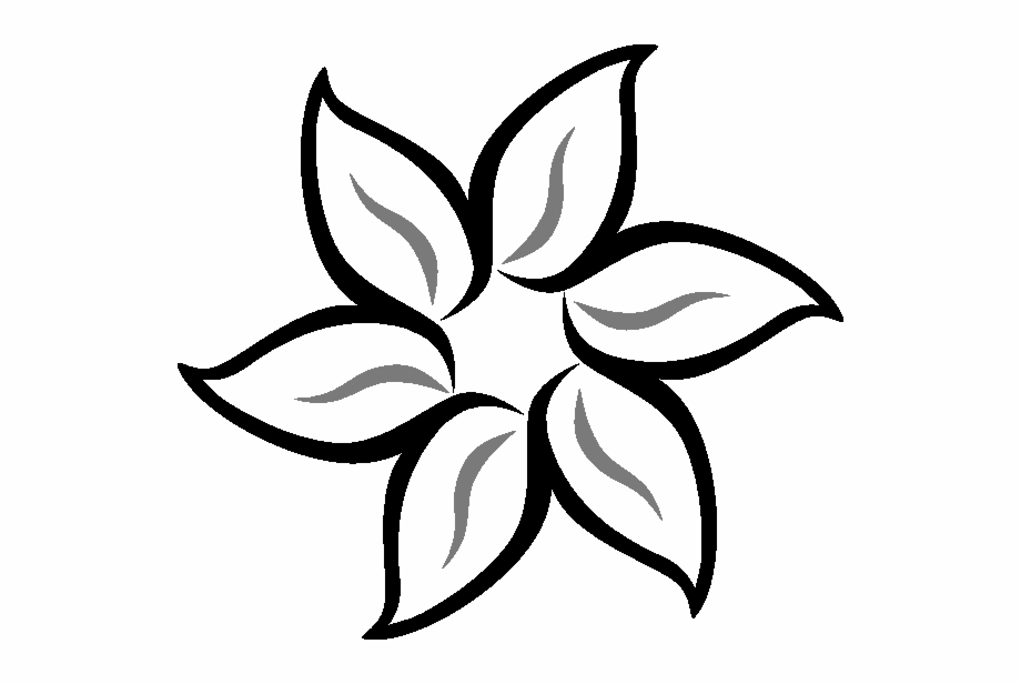 Easy lily flower drawing pencil art Royalty Free Vector