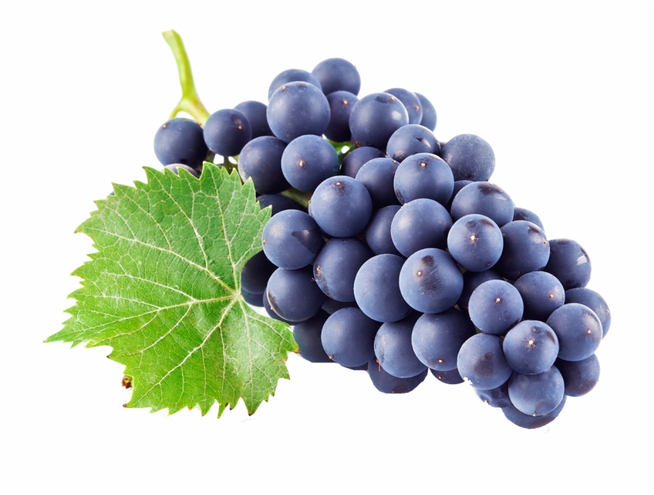 Free Grapes Transparent, Download Free Grapes Transparent png images ...