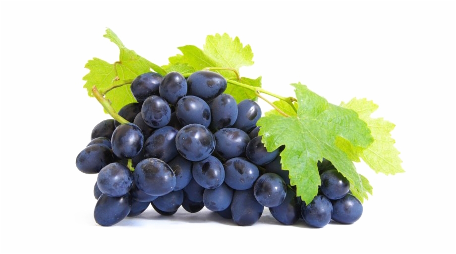 Grapes Png Background Grape Extract - Clip Art Library