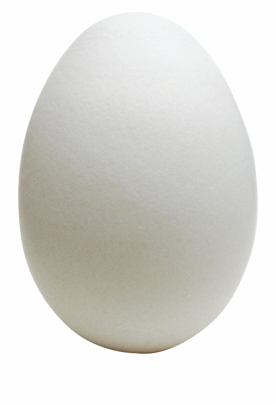 Single Egg transparent PNG - StickPNG