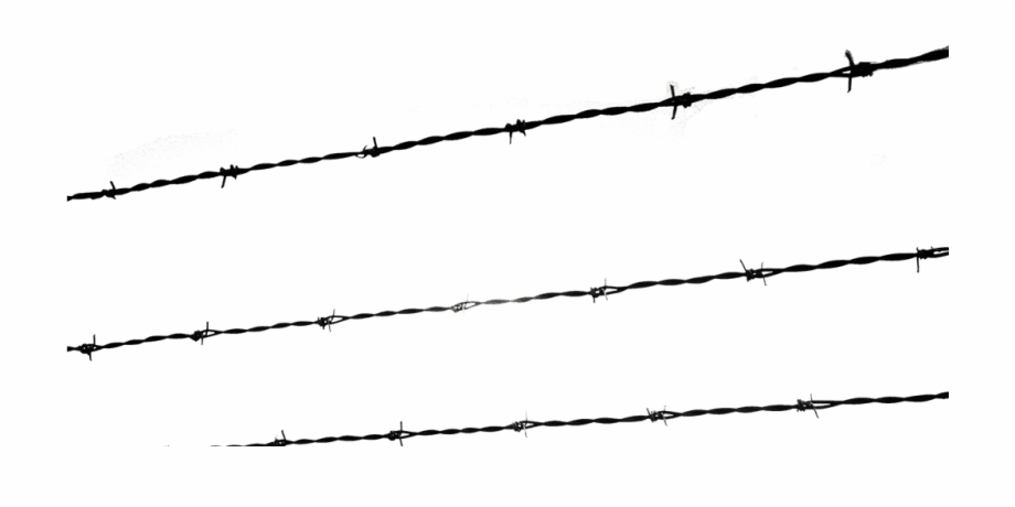 A Growing Evil Barbed Wire