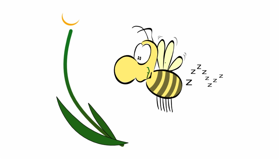 Bee Png Cartoon Bee