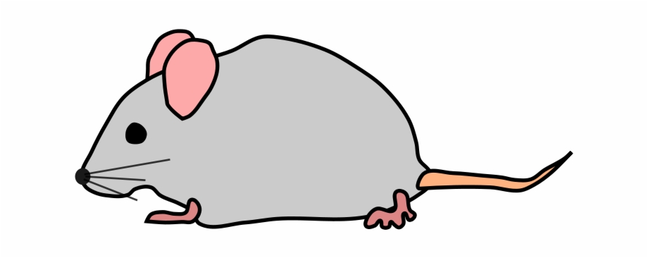 Mouse Mouse Clipart No Background