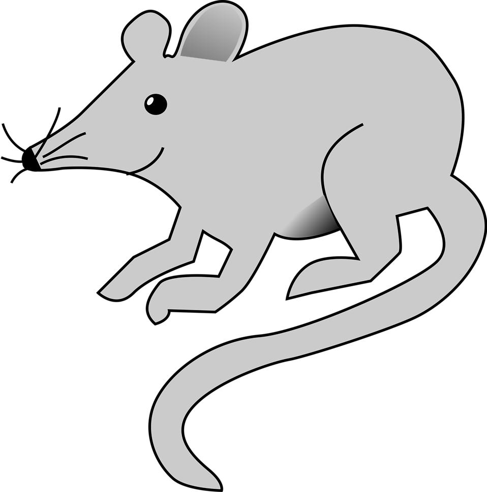 Free Stock Photo Illustration Of A Mouse Clip