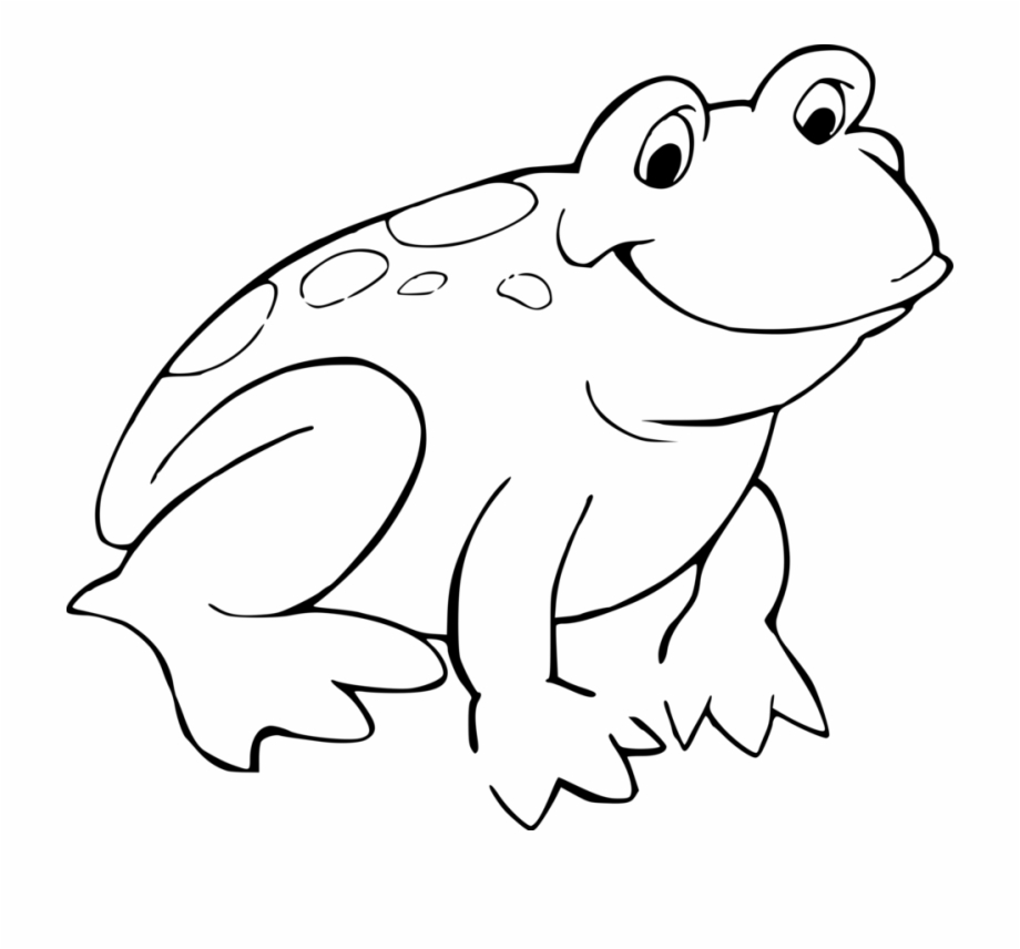 Awesome Tree Frog Clipart Black And White Image