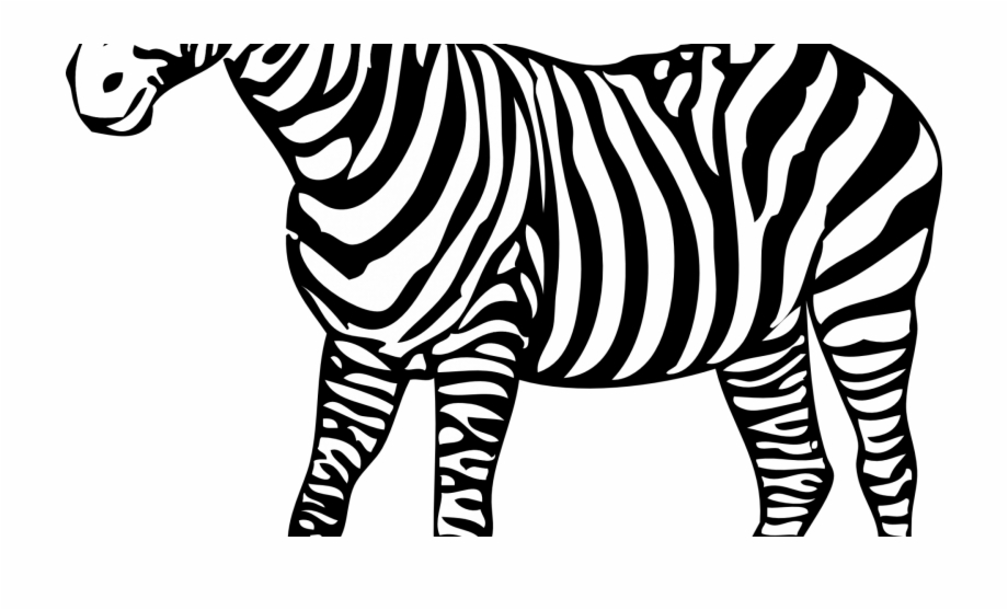 Zebra Clipart Outline