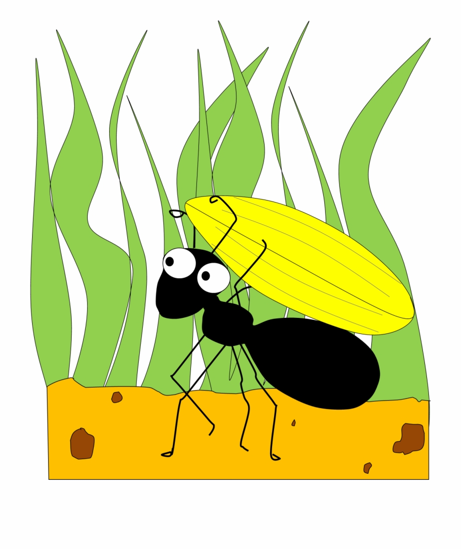 Ant Ant Clipart