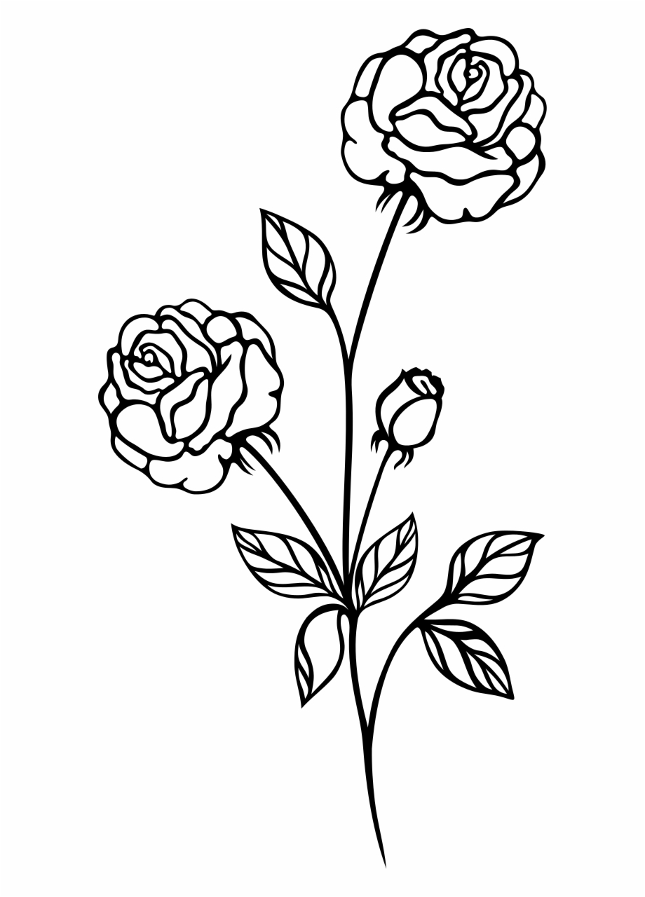 Rose Black And White Clip Art Flowers Roses