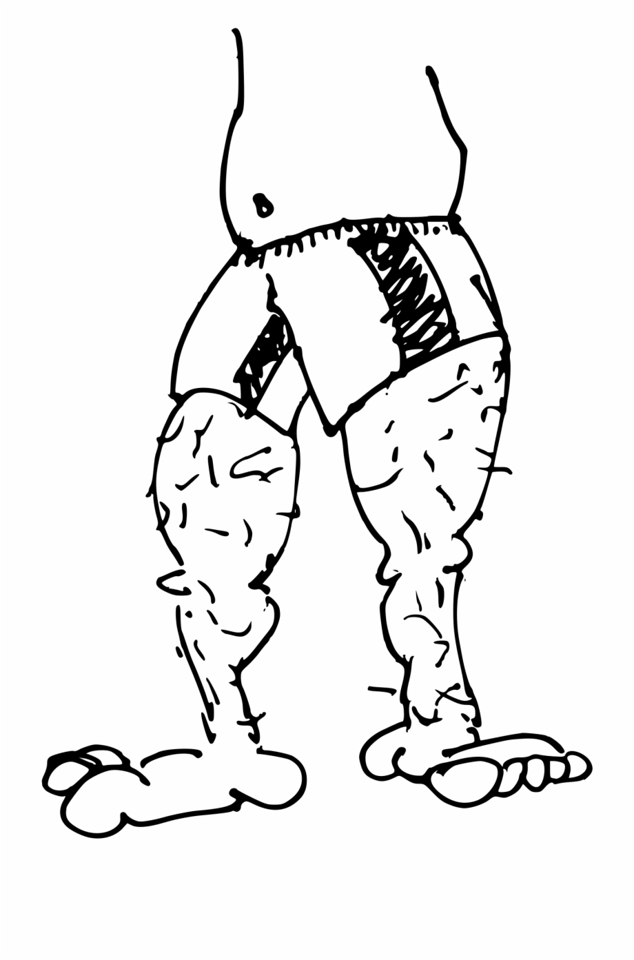 Front Legs Sketch - Clip Art Library