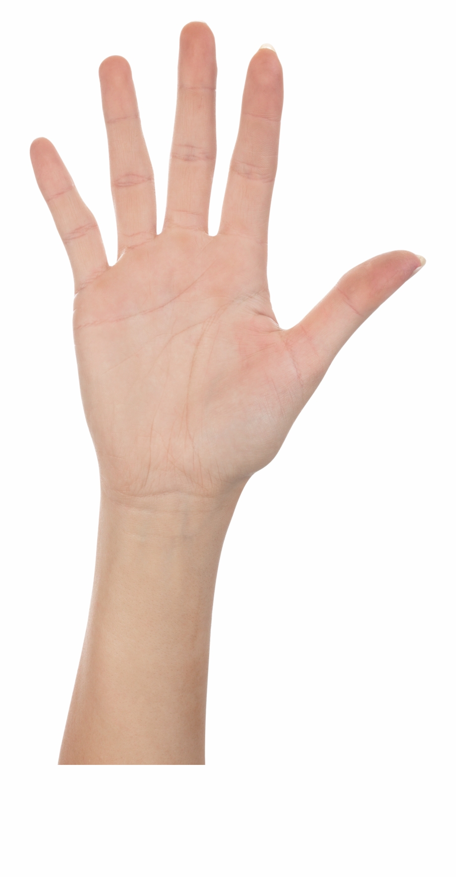 Clipart Hand Forearm Hand High Five Png