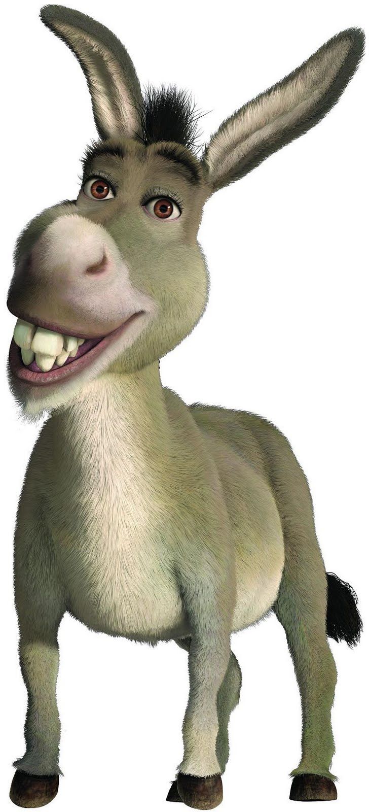Donkey Shrek Png