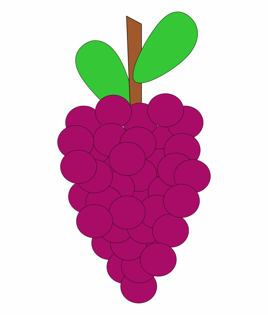 Grape Vine Cartoon Grape Vine