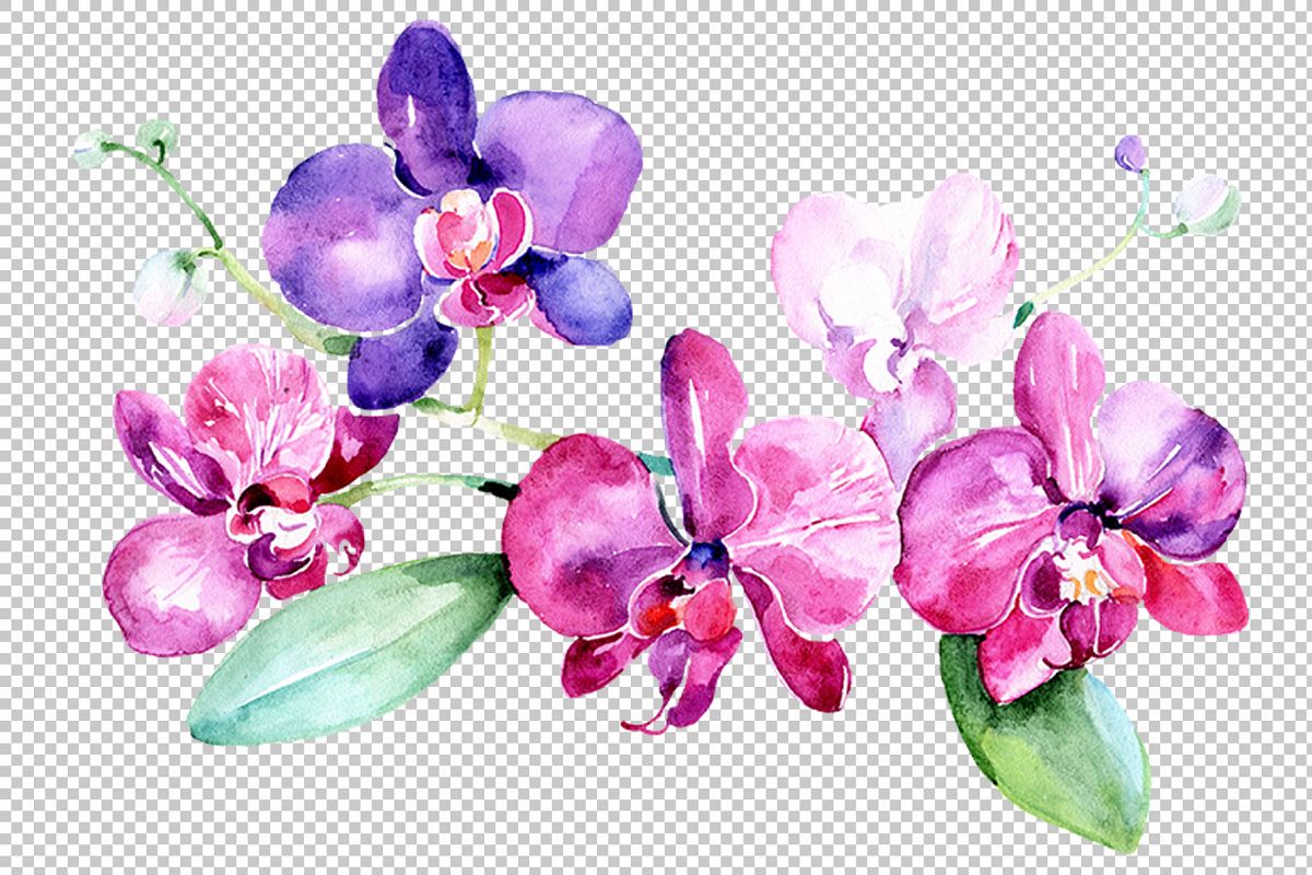Орхидея фиолетовая акварель