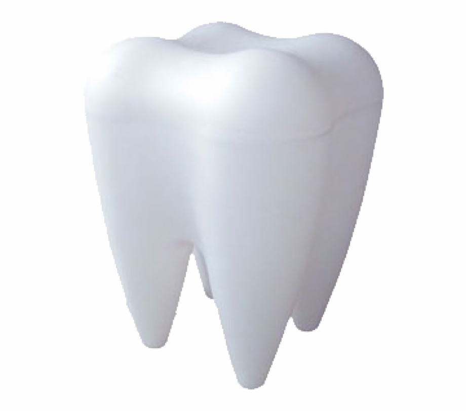 Teeth Png Free Download Transparent Background Tooth Png