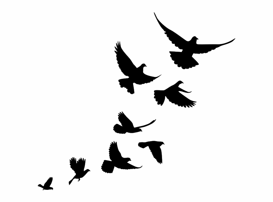 Jiminey Kricket Exterminating Pigeons Flying Bird Flock Silhouette