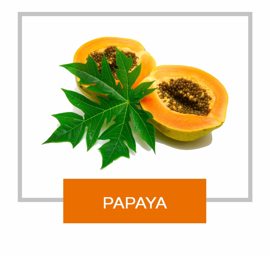 Papaya With Leaves