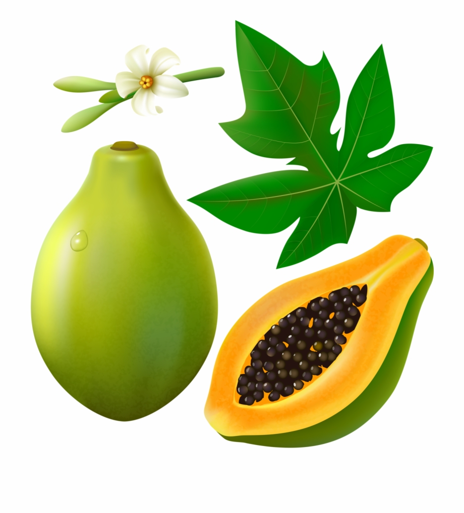 Fruits With Leaf And Flower On White Papaya