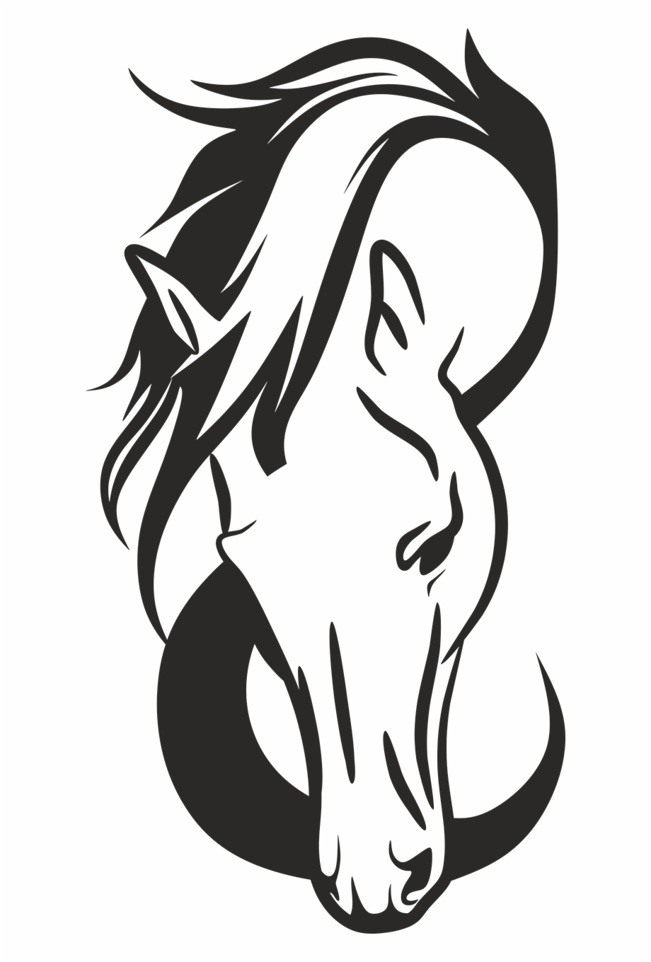 Horse Animal Horse Head Equine Png Image Horse