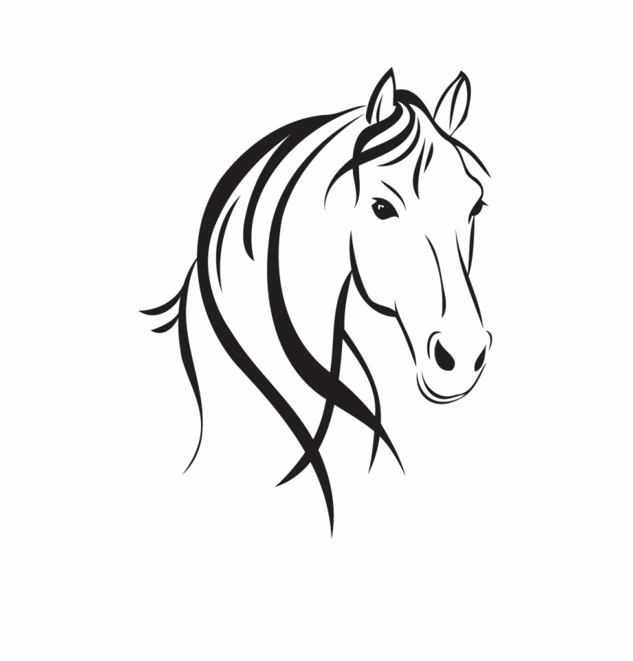 Horse Head Style Horse Head Outline Drawing