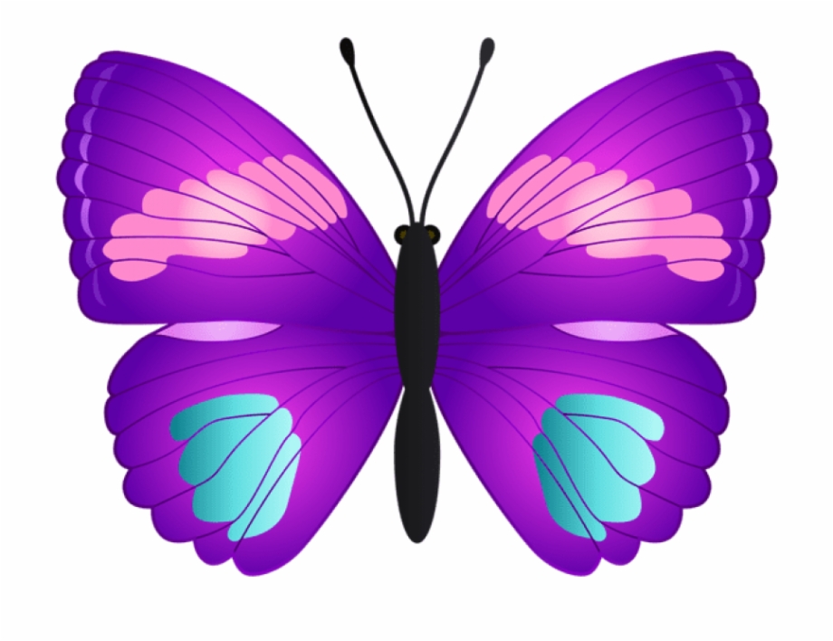 Free Png Download Butterfly Clipart Png Photo Png