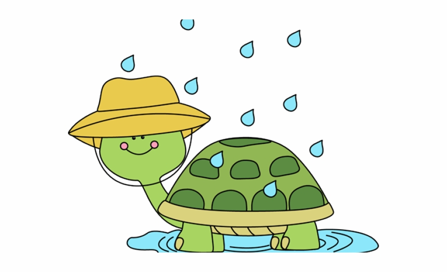 Winter Turtle Cliparts Spring Rain Clip Art