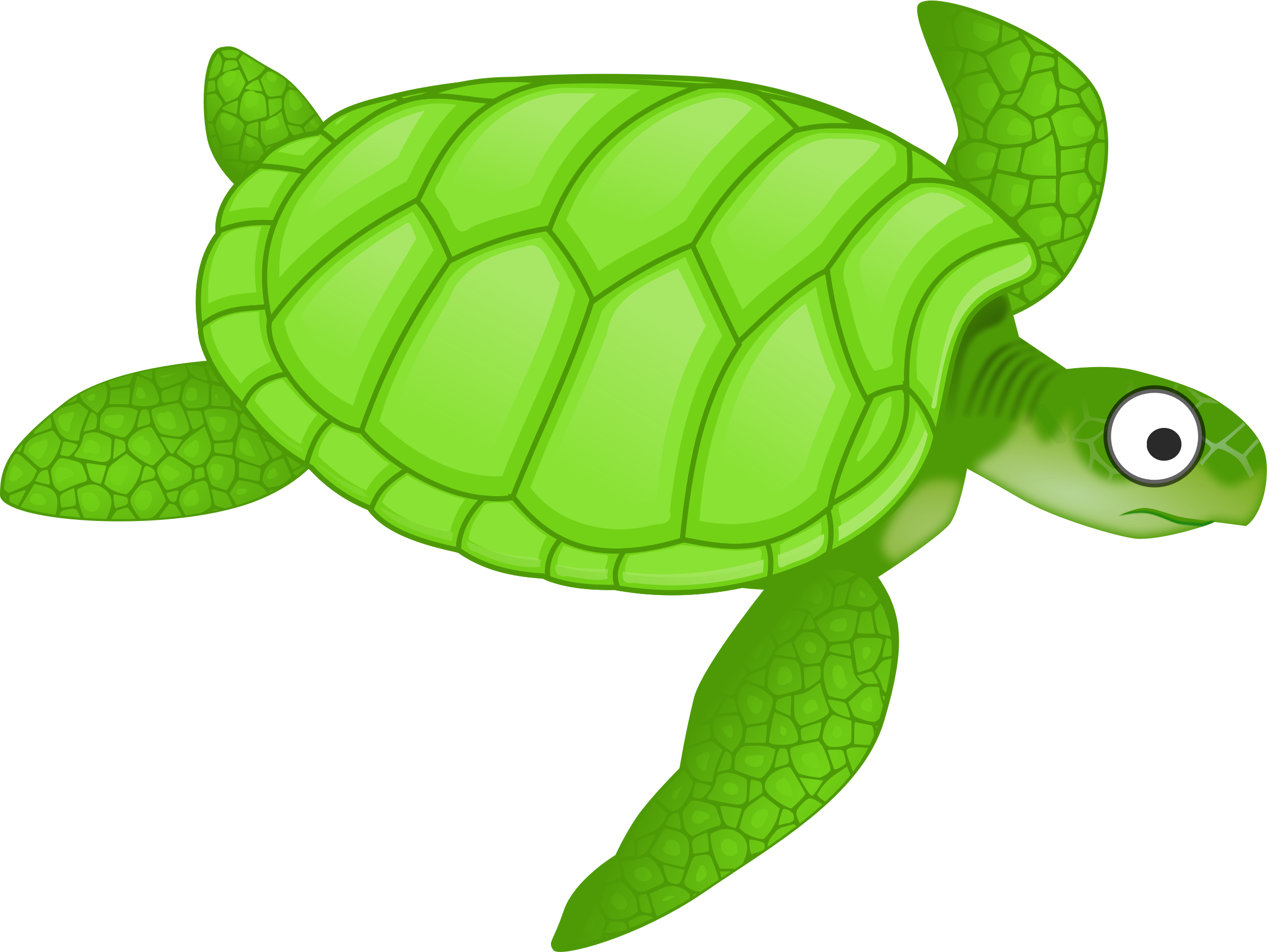 Clipart Cartoon Turtle 2 Png Green Sea Turtle