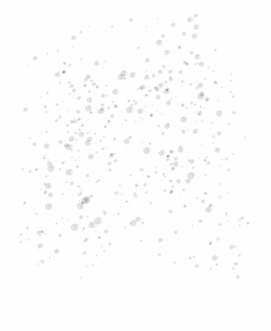 Png For Transparent Water Bubbles Png