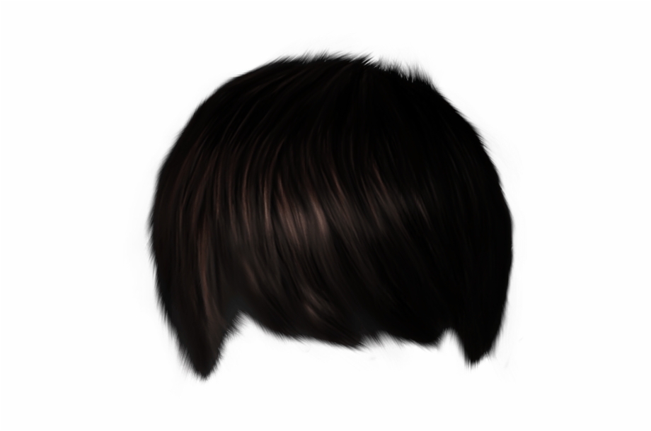 Download Hair Png 3 HQ PNG Image in different resolution  FreePNGImg