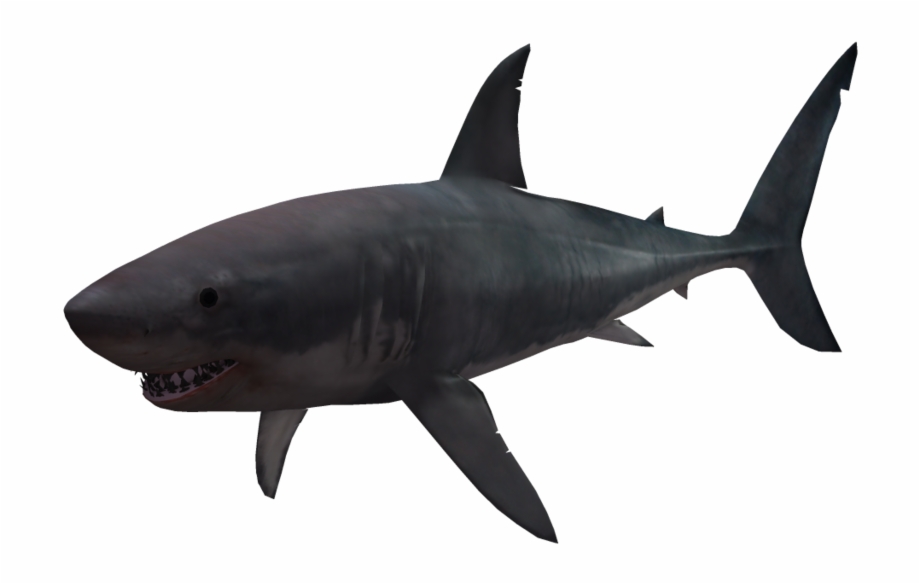 3D Shark Png
